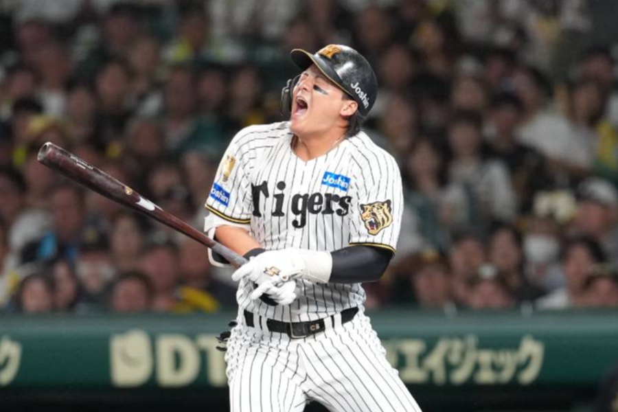 死球を受けた阪神・前川右京【写真：井上学】