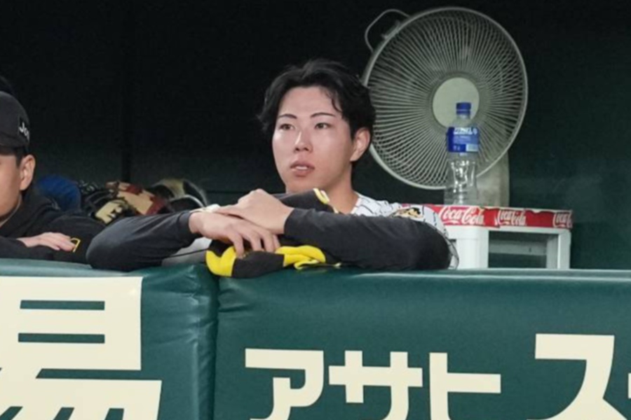 阪神・工藤泰成【写真:井上学】
