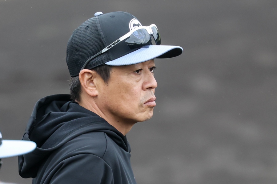 阪神・藤本敦士総合コーチ【写真：加治屋友輝】